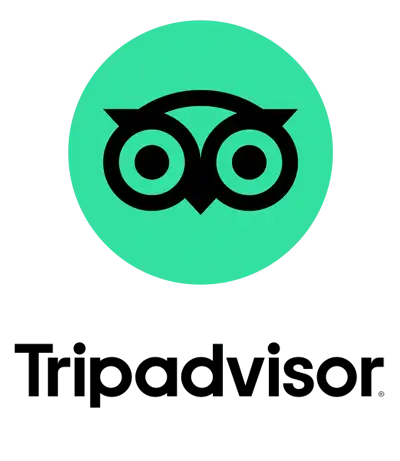 trip advisor Feedback